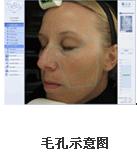 VISIA�沿�D������x�aƷ��B