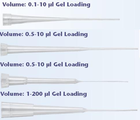 QSP�˜����z�c�����^