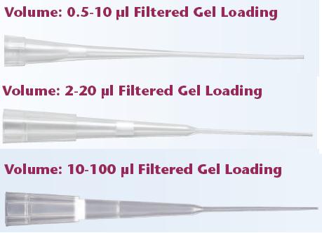 QSP���Vо���z�c�����^